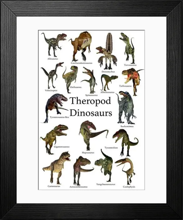 Framed Print : Theropod Dinosaurs - A collection set of Theropod carnivorous dinosaurs from the Cretaceous Framed Print : Theropod Dinosaurs - A collection set of Theropod carnivorous dinosaurs from the Cretaceous