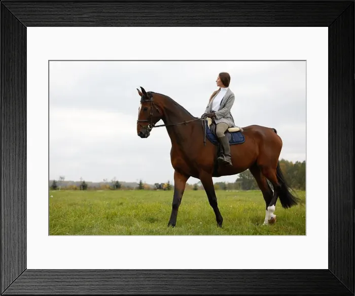 Framed Print : Beautiful young woman riding a horse on the field. Sideways to the camera. Freedom, joy, movement Framed Print : Beautiful young woman riding a horse on the field. Sideways to the camera. Freedom, joy, movement