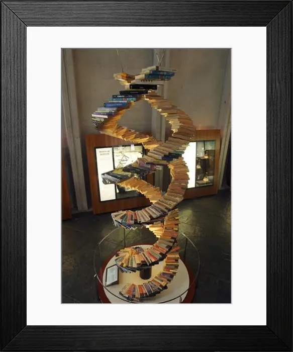 Framed Print : A / La Coruña; Museo Domus (museo del hombre); escultura representando ADN con libros Framed Print : A / La Coruña; Museo Domus (museo del hombre); escultura representando ADN con libros