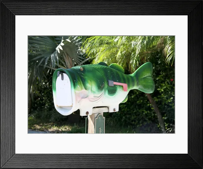 Framed Print : Mailbox in the Shape of a Fish Framed Print : Mailbox in the Shape of a Fish