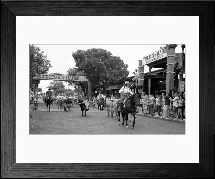 Framed Print : View of the twice-daily herding of Texas Longhorns in the Stockyards District of Fort Worth, Texas