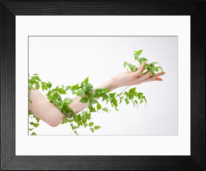 Framed Print : a plant wrapped around a woman's arm Framed Print : a plant wrapped around a woman's arm