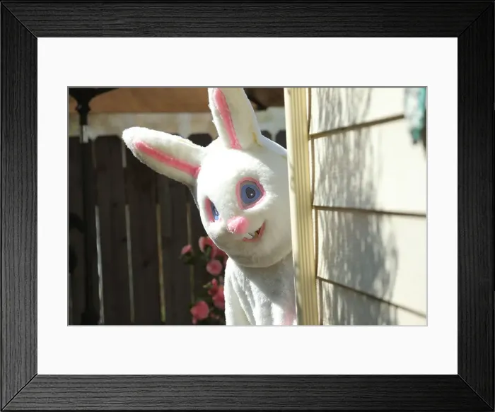 Framed Print : Easter bunny peeks out from behind house Framed Print : Easter bunny peeks out from behind house