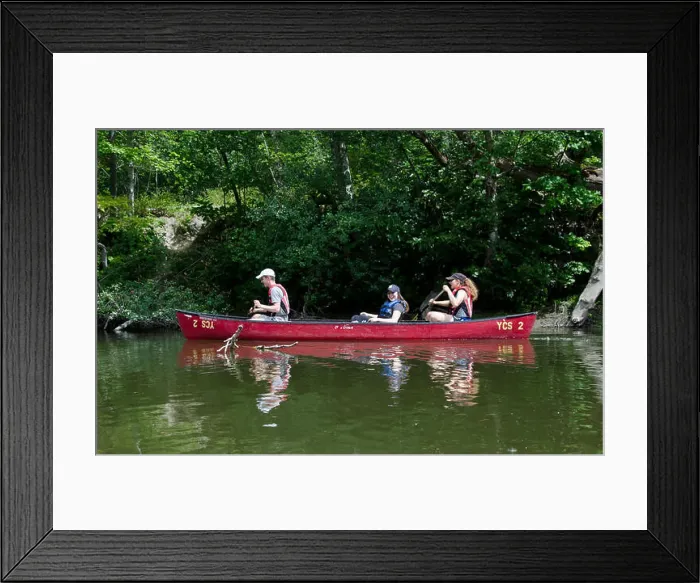 Framed Print : Three young adults in family paddling in a canoe on the Royal River in Yarmouth Maine, summer, USA Framed Print : Three young adults in family paddling in a canoe on the Royal River in Yarmouth Maine, summer, USA
