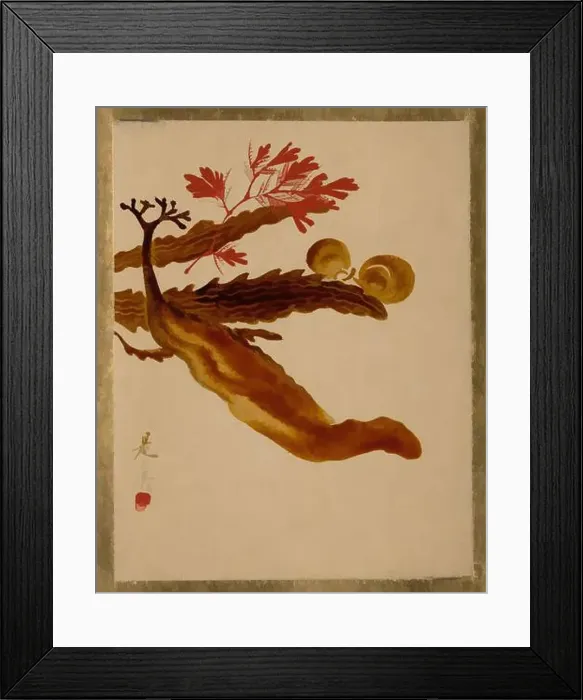 Framed Print : Art inspired by Seaweed, Edo period (1615–1868) Framed Print : Art inspired by Seaweed, Edo period (1615–1868)