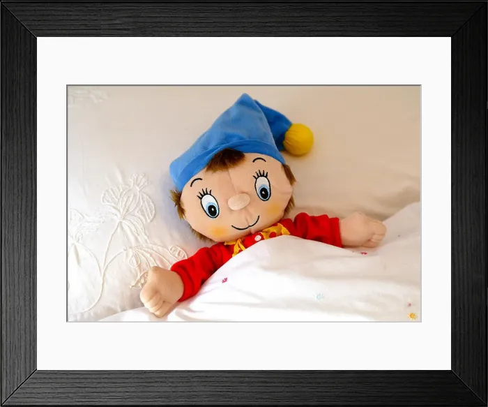 Framed Print : Noddy. Picture by James Boardman Framed Print : Noddy. Picture by James Boardman