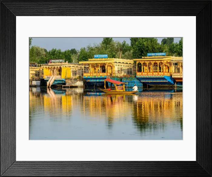Framed Print : A shikara boat on Dal Lake, houseboats at the back Framed Print : A shikara boat on Dal Lake, houseboats at the back