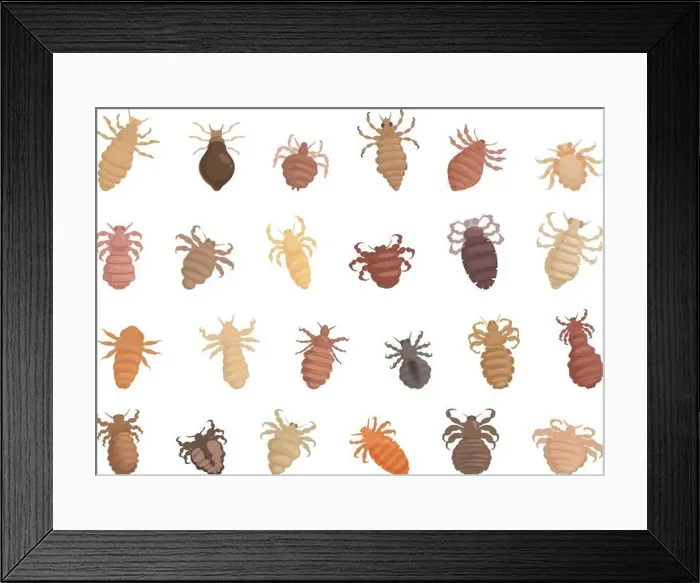 Framed Print : Lice icons set cartoon vector. Nature parasite. Insect head. Lice icons set cartoon vector. Nature parasite Framed Print : Lice icons set cartoon vector. Nature parasite. Insect head. Lice icons set cartoon vector. Nature parasite
