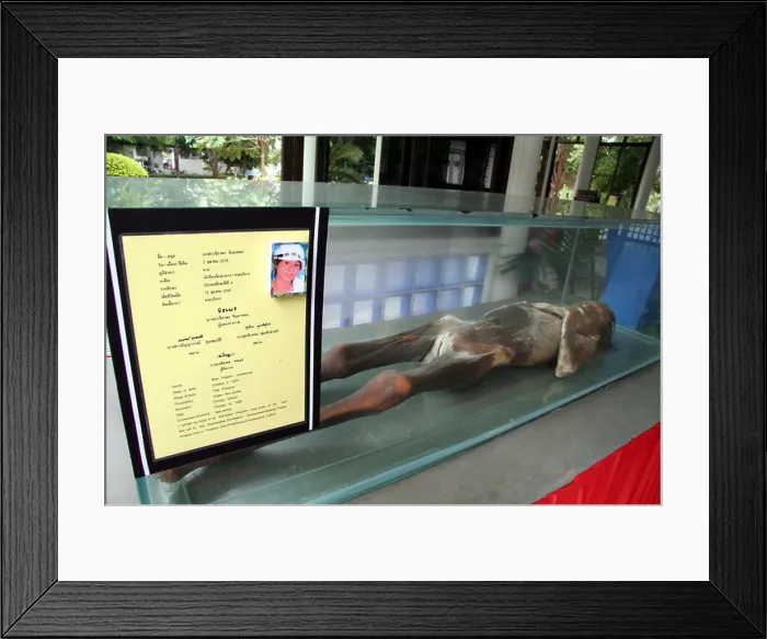 Framed Print : Painet iy8494 sleleton child kid thailand life museum macabre exhibit mumified bodies aids victims lopburi buddhist Framed Print : Painet iy8494 sleleton child kid thailand life museum macabre exhibit mumified bodies aids victims lopburi buddhist