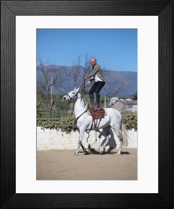 Framed Print : Young stunt man in casual outfit riding white horse on sandy ground Framed Print : Young stunt man in casual outfit riding white horse on sandy ground