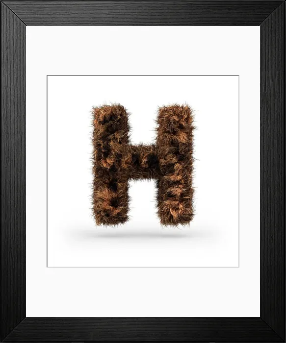 Framed Print : Uppercase fluffy and furry font made of fur texture for poster printing, branding, advertising. Letter H. 3D rendering Framed Print : Uppercase fluffy and furry font made of fur texture for poster printing, branding, advertising. Letter H. 3D rendering