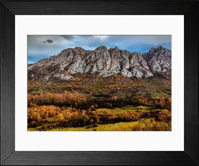 Framed Print : View to the Sentinel Range in Gordon River Valley after 2016 fires. Southwest Tasmania Framed Print : View to the Sentinel Range in Gordon River Valley after 2016 fires. Southwest Tasmania