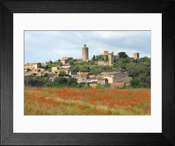 Framed Print : Poppy fields at Pals Palafrugell in Spain Framed Print : Poppy fields at Pals Palafrugell in Spain