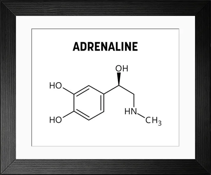 Framed Print : Adrenaline molecular structure Framed Print : Adrenaline molecular structure