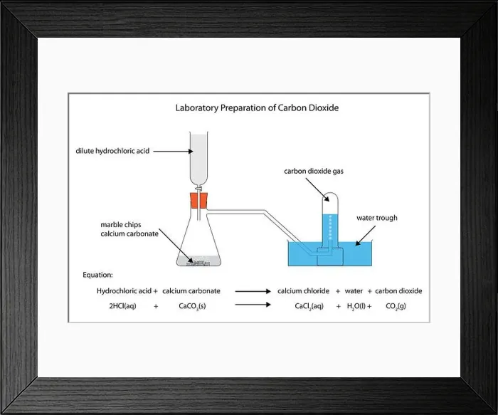 Framed Print : Diagram of the laboratory preparation of carbon dioxide from hydrochloric acid and calcium carbonate marble chips