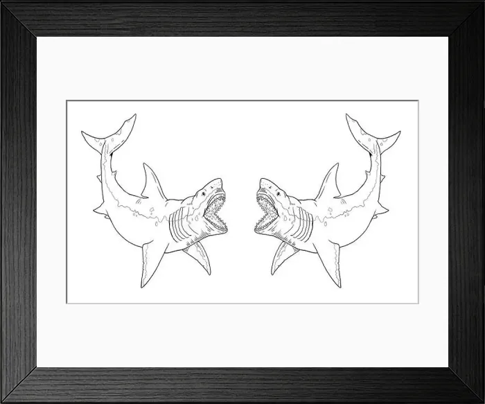 Framed Print : Prehistoric shark - megalodon. Big shark drawing. Monster fish megalodon illustration. Coloring book Framed Print : Prehistoric shark - megalodon. Big shark drawing. Monster fish megalodon illustration. Coloring book