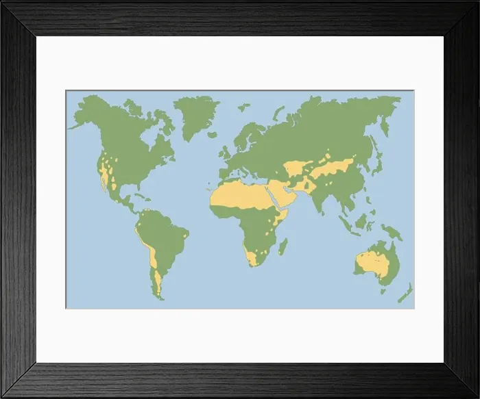 Framed Print : Worlds largest deserts like Sahara Framed Print : Worlds largest deserts like Sahara