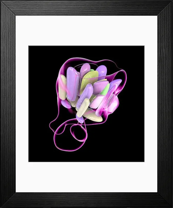 Framed Print : Hypothalamic nuclei, illustration Framed Print : Hypothalamic nuclei, illustration