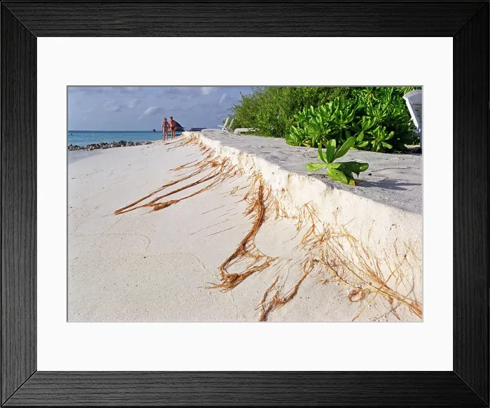 Framed Print : Beach erosion in The Maldives Framed Print : Beach erosion in The Maldives