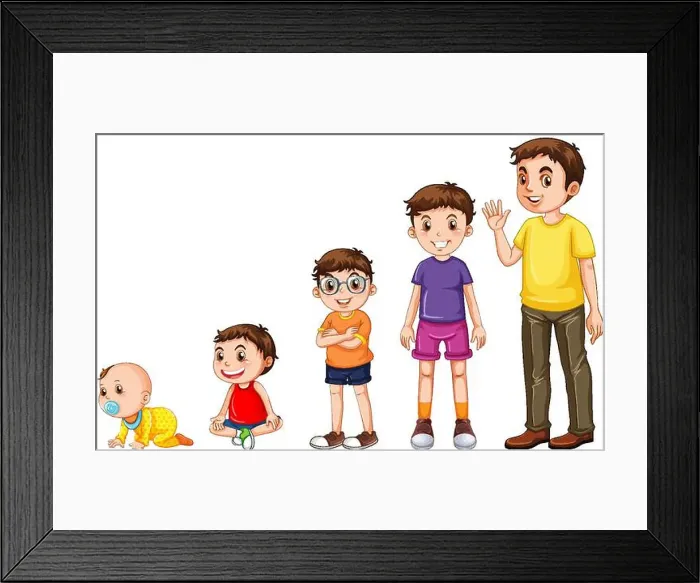 Framed Print : Stages of human growth illustration
