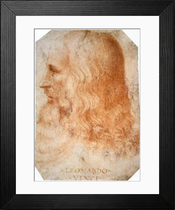 Framed Print : Leonardo da Vinci, Leonardo di ser Piero da Vinci (1452 – 1519), Italian Renaissance polymath Framed Print : Leonardo da Vinci, Leonardo di ser Piero da Vinci (1452 – 1519), Italian Renaissance polymath