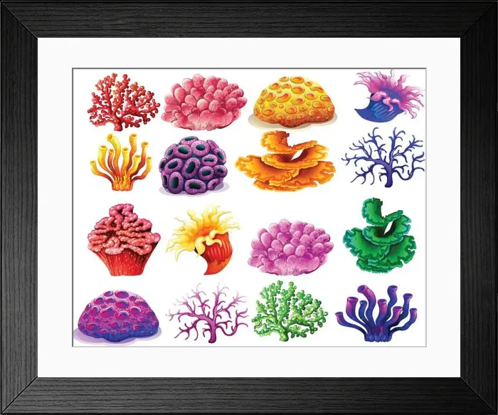 Framed Print : Vibrant vector illustrations of various coral types Framed Print : Vibrant vector illustrations of various coral types