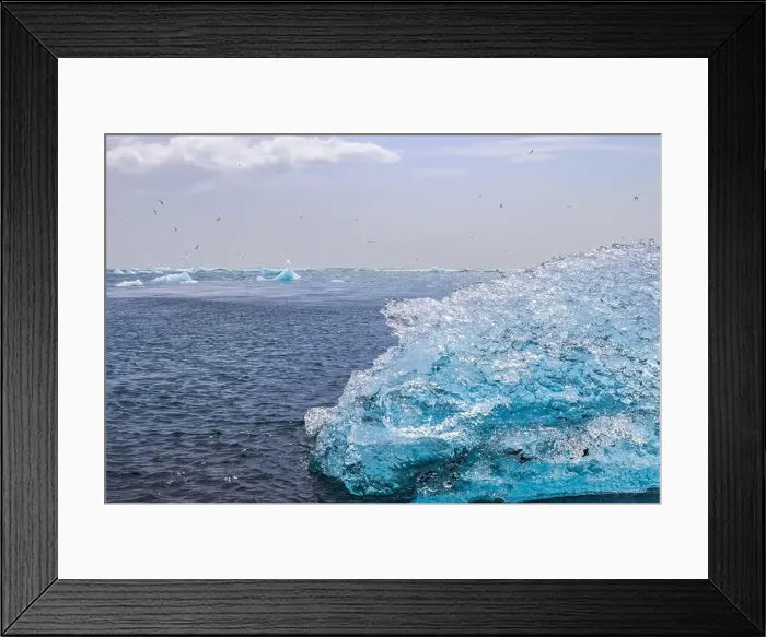 Framed Print : Icebergs floating on Jokulsarlon glacier lagoon in Iceland, on Diamond Beach, with many birds flying Framed Print : Icebergs floating on Jokulsarlon glacier lagoon in Iceland, on Diamond Beach, with many birds flying
