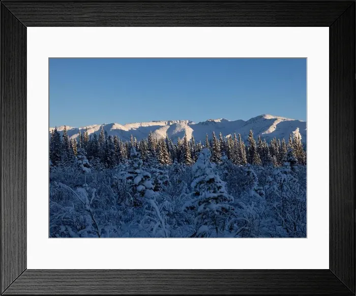 Framed Print : Snowy field with trees in front of snow covered mountains on a sunny winter day near Delta Junction, Alaska Framed Print : Snowy field with trees in front of snow covered mountains on a sunny winter day near Delta Junction, Alaska