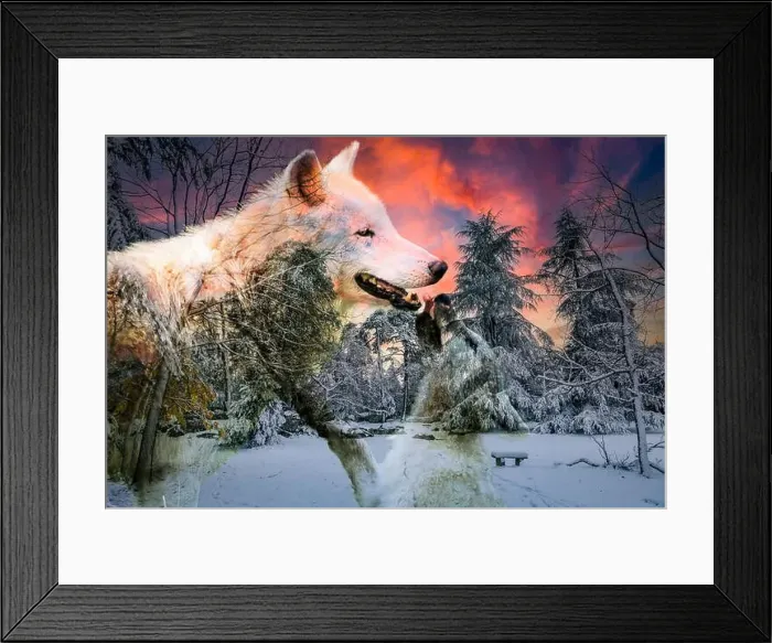 Framed Print : view of an arctic wolf and its cub in a beautiful winter setting Framed Print : view of an arctic wolf and its cub in a beautiful winter setting