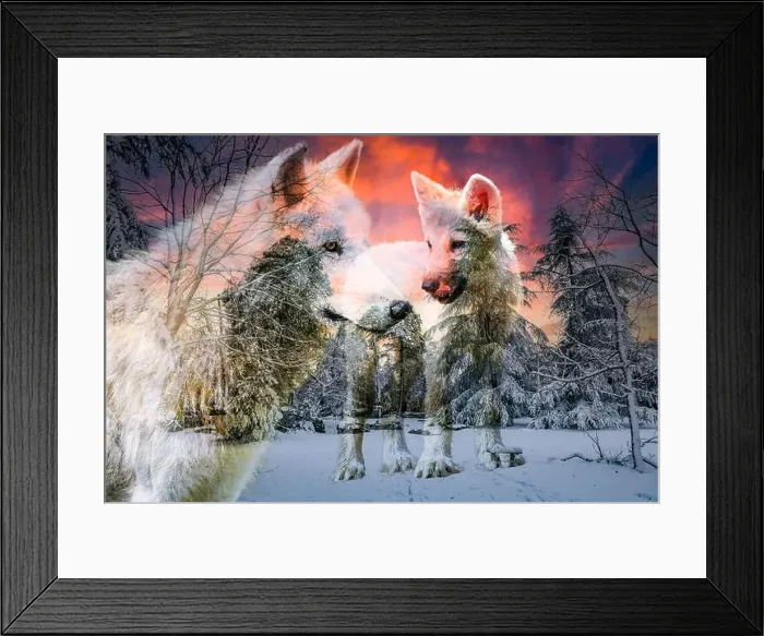Framed Print : view of an arctic wolf and its cub in a beautiful winter setting Framed Print : view of an arctic wolf and its cub in a beautiful winter setting