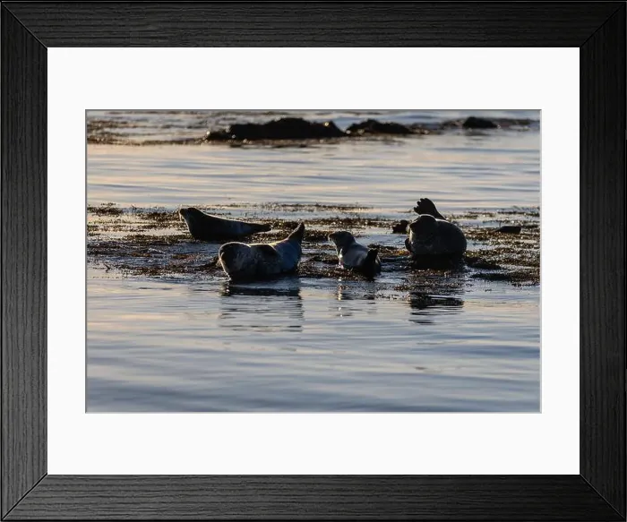 Framed Print : I'm returning to my beloved Iceland, its landscapes and northern lights! Framed Print : I'm returning to my beloved Iceland, its landscapes and northern lights!