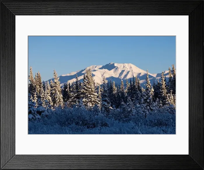Framed Print : Sun shining on snow covered trees and mountain on winter day near Delta Junciton, Alaska Framed Print : Sun shining on snow covered trees and mountain on winter day near Delta Junciton, Alaska