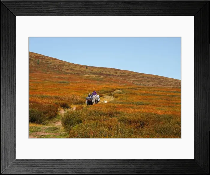 Framed Print : Drop-off of tourists on horseback Framed Print : Drop-off of tourists on horseback