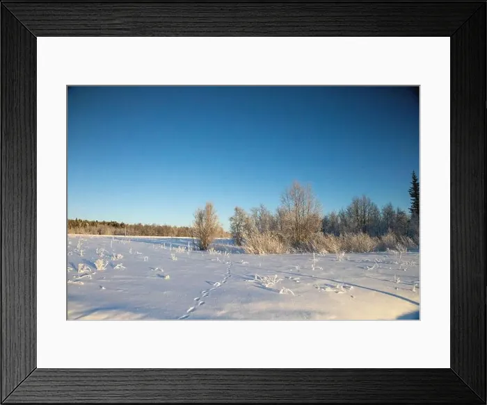 Framed Print : Winter landscape in Kiruna, Lapland, northern Sweden. Photographed in January Framed Print : Winter landscape in Kiruna, Lapland, northern Sweden. Photographed in January