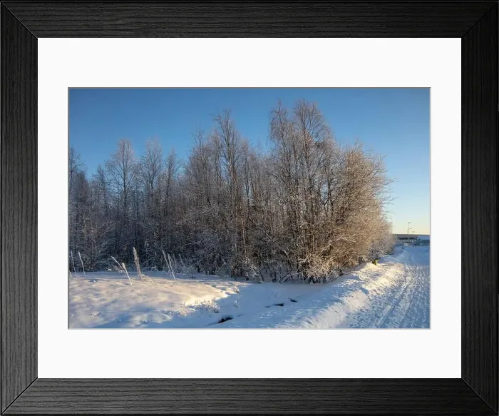 Framed Print : Winter landscape in Kiruna, Lapland, northern Sweden. Photographed in January Framed Print : Winter landscape in Kiruna, Lapland, northern Sweden. Photographed in January