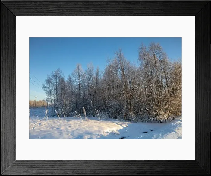 Framed Print : Winter landscape in Kiruna, Lapland, northern Sweden. Photographed in January Framed Print : Winter landscape in Kiruna, Lapland, northern Sweden. Photographed in January
