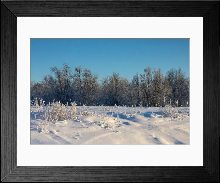Framed Print : Winter landscape in Kiruna, Lapland, northern Sweden. Photographed in January Framed Print : Winter landscape in Kiruna, Lapland, northern Sweden. Photographed in January