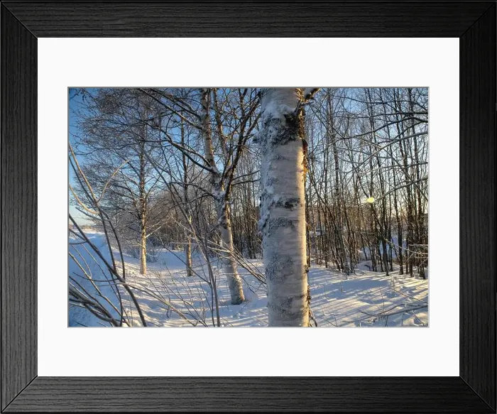 Framed Print : Winter landscape in Kiruna, Lapland, northern Sweden. Photographed in January Framed Print : Winter landscape in Kiruna, Lapland, northern Sweden. Photographed in January