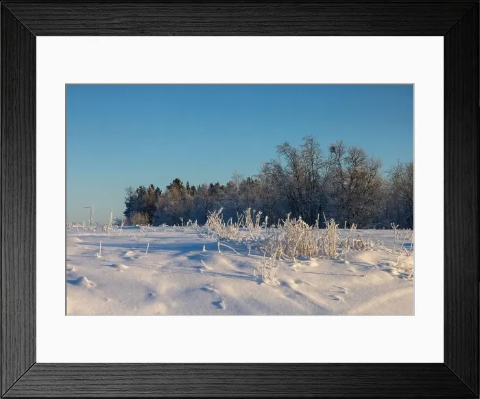 Framed Print : Winter landscape in Kiruna, Lapland, northern Sweden. Photographed in January Framed Print : Winter landscape in Kiruna, Lapland, northern Sweden. Photographed in January
