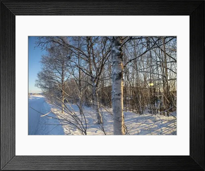 Framed Print : Winter landscape in Kiruna, Lapland, northern Sweden. Photographed in January Framed Print : Winter landscape in Kiruna, Lapland, northern Sweden. Photographed in January