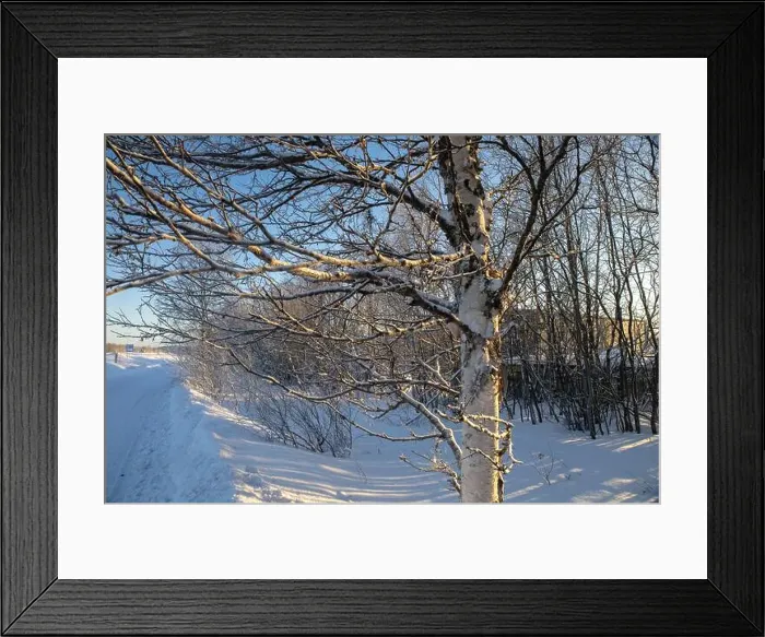 Framed Print : Winter landscape in Kiruna, Lapland, northern Sweden. Photographed in January Framed Print : Winter landscape in Kiruna, Lapland, northern Sweden. Photographed in January