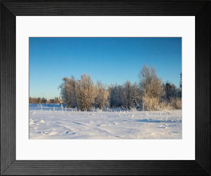 Framed Print : Winter landscape in Kiruna, Lapland, northern Sweden. Photographed in January Framed Print : Winter landscape in Kiruna, Lapland, northern Sweden. Photographed in January