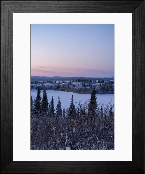 Framed Print : Small icy lake surrounded by snowy trees under pink sky on a winter evening near Delta Junction, Alaska Framed Print : Small icy lake surrounded by snowy trees under pink sky on a winter evening near Delta Junction, Alaska