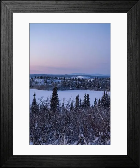 Framed Print : Icy lake surrounded by snowy trees under pink sky on a winter evening near Delta Junction, Alaska