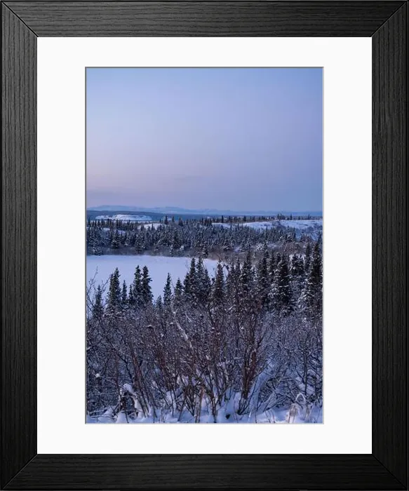 Framed Print : Edge of icy lake under pink sky on a winter evening near Delta Junction, Alaska Framed Print : Edge of icy lake under pink sky on a winter evening near Delta Junction, Alaska