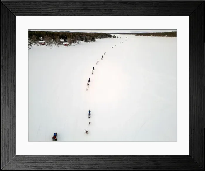 Framed Print : Sled dog ice lapland winter aerial Inari Nellim frozen lakes and forest landscape panorama Framed Print : Sled dog ice lapland winter aerial Inari Nellim frozen lakes and forest landscape panorama