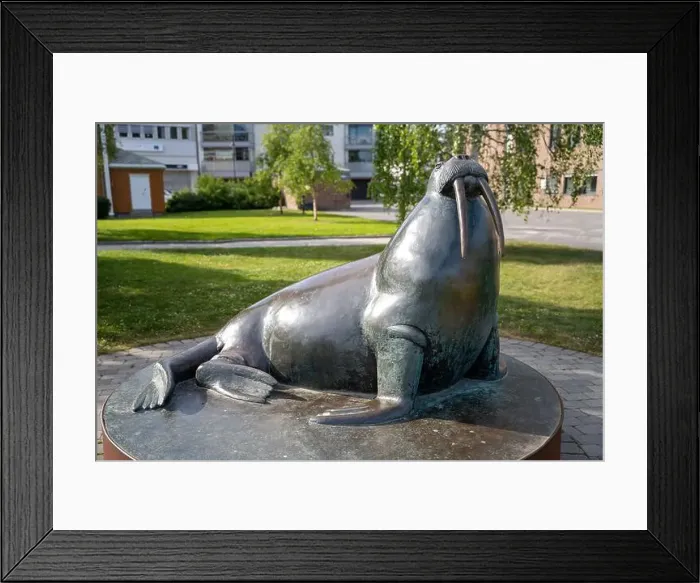 Framed Print : Harstad, Norway - 07.05.2024: Sculpture of Walrus on Harstad Embankment in Norway Framed Print : Harstad, Norway - 07.05.2024: Sculpture of Walrus on Harstad Embankment in Norway