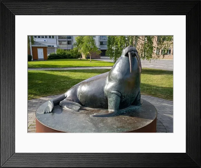 Framed Print : Harstad, Norway - 07.05.2024: Sculpture of Walrus on Harstad Embankment in Norway Framed Print : Harstad, Norway - 07.05.2024: Sculpture of Walrus on Harstad Embankment in Norway