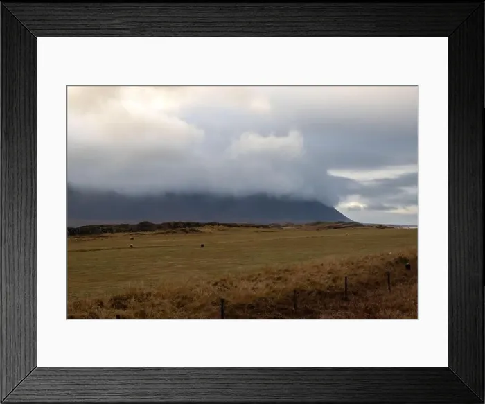 Framed Print : Sheep on a pasture in the nature Framed Print : Sheep on a pasture in the nature