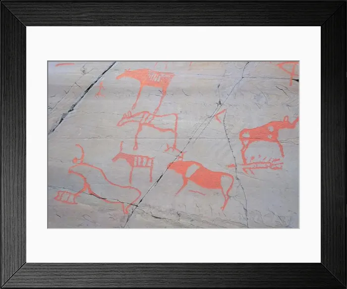 Framed Print : The Rock Art of Alta in Norway Framed Print : The Rock Art of Alta in Norway
